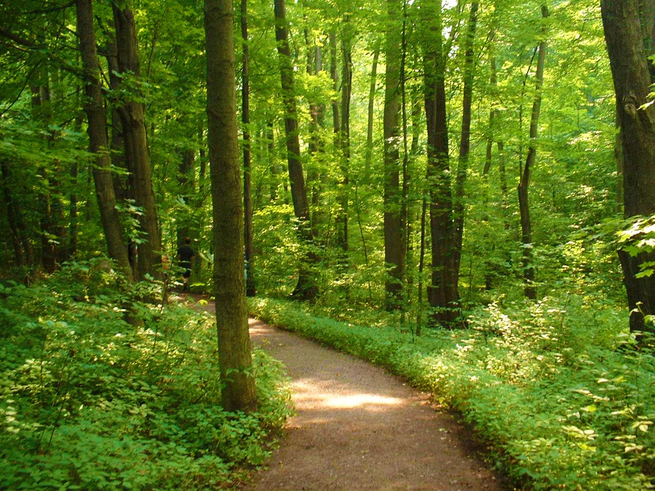The Inquirer After Truth and The Sacred Grove Fun For Less Tours